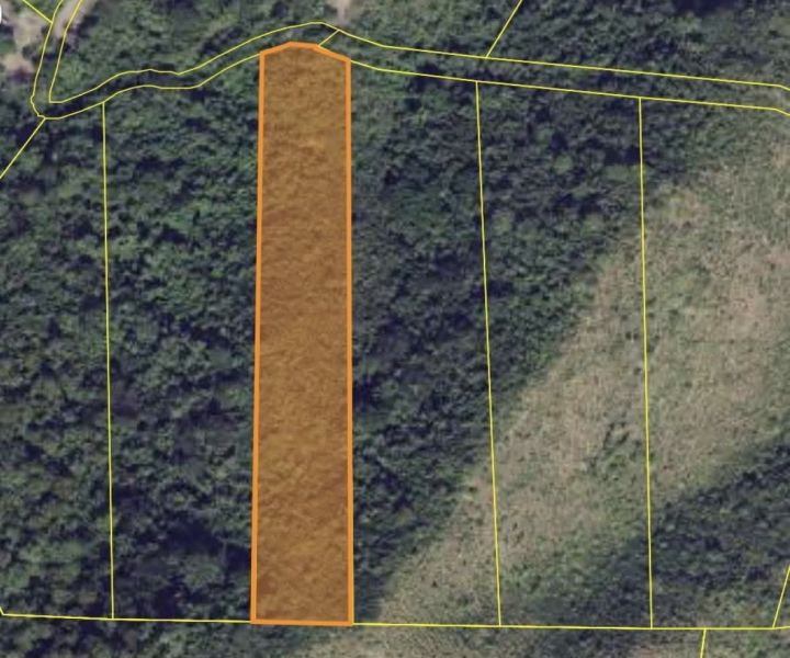 Hacienda De Salinas Parc 58 Bo Lapas Salinas 00751 PR