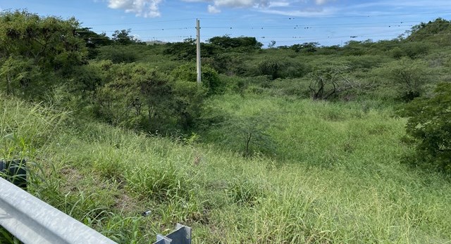 Carr 3 Km 152.1 Predio De Terreno Bo Aguirre Salinas 00751 PR