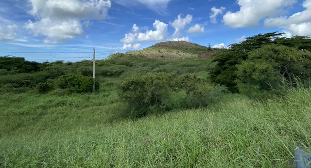 Carr 3 Km 152.1 Predio De Terreno Bo Aguirre Salinas 00751 PR