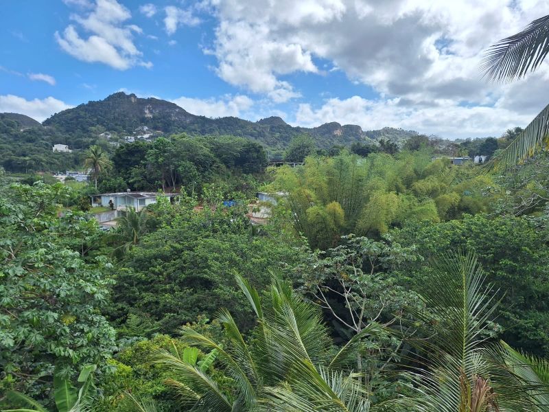 Pr 128 Km 59.7 Bo Pueblo Sector La Torre Lares 00669 PR