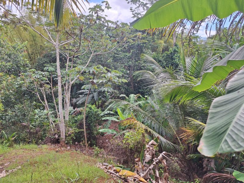 Pr 128 Km 59.7 Bo Pueblo Sector La Torre Lares 00669 PR