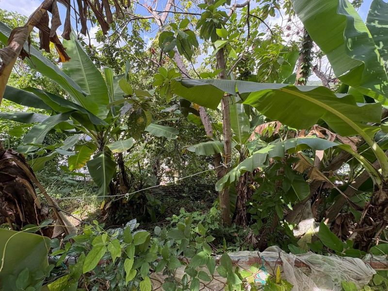 Urb Colinas De Villa Rosa Calle D B-29 Sabana Grande 00637 PR