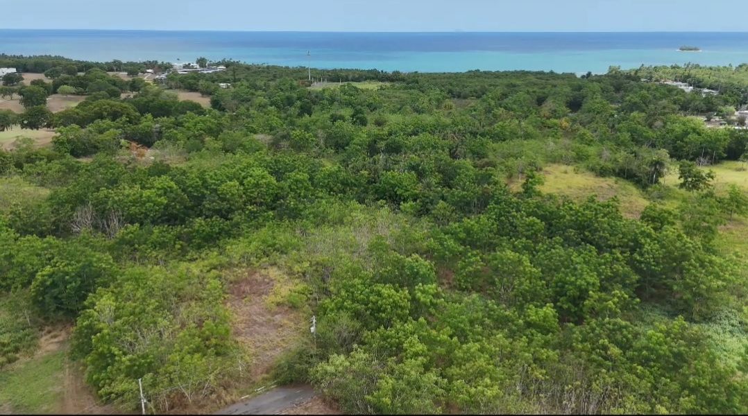 Urb Costa Joyuda C-20, Cabo Rojo - 5