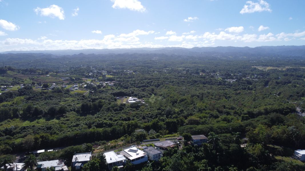 Carr 155 Km 56.9 Sector La Lomita Bo Franquez Morovis 00687 PR