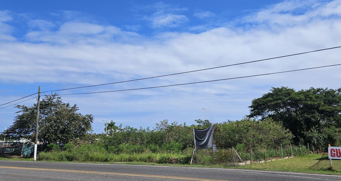 Bo Algarrobo Carr #3 Ave Los Veteranos Km 139.1 Guayama 00784 PR