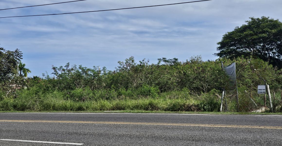 Bo Algarrobo Carr #3 Ave Los Veteranos Km 139.1 Guayama 00784 PR