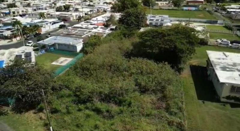 Bo Algarrobo Carr #3 Ave Los Veteranos Km 139.1 Guayama 00784 PR