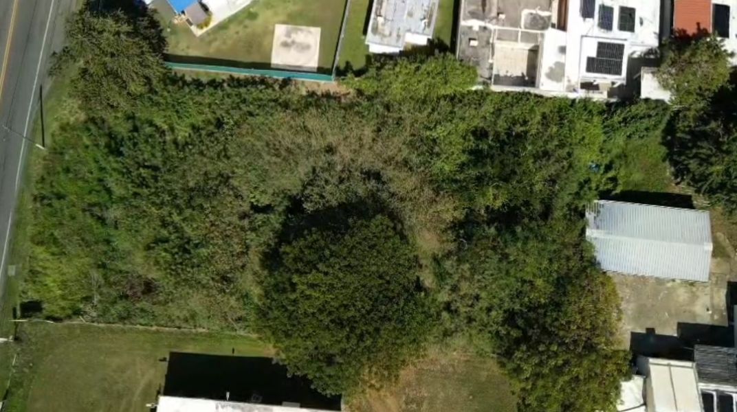 Bo Algarrobo Carr #3 Ave Los Veteranos Km 139.1 Guayama 00784 PR