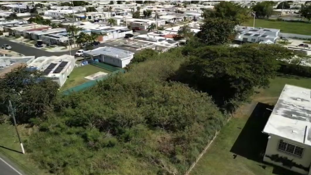 Bo Algarrobo Carr #3 Ave Los Veteranos Km 139.1 Guayama 00784 PR