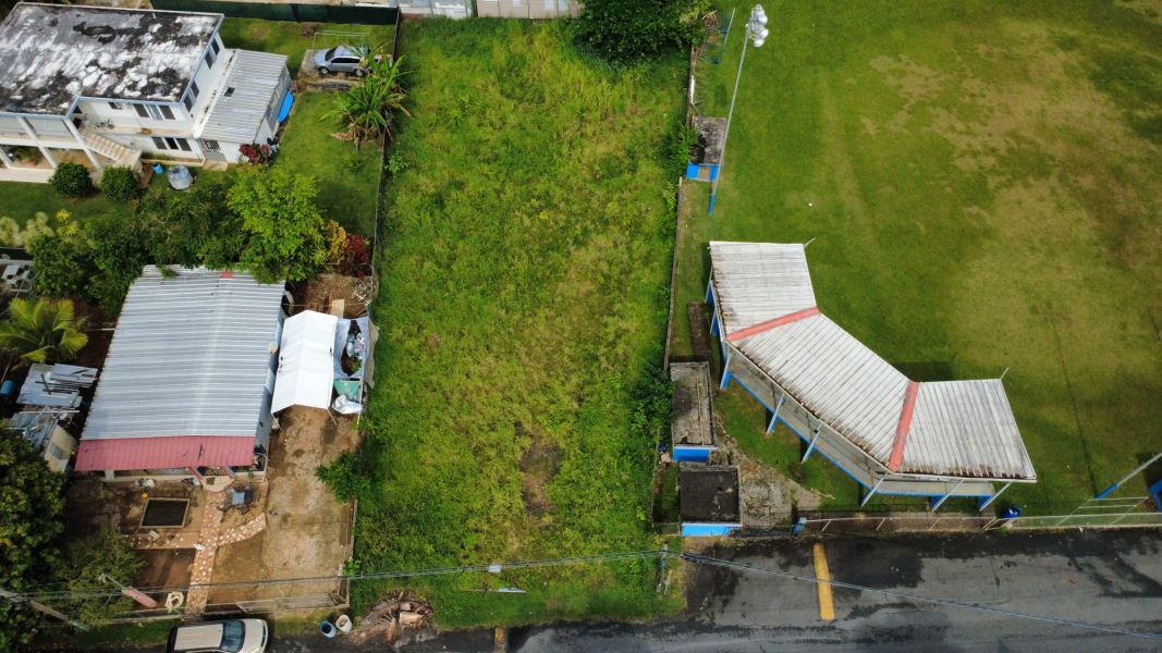 Bo C Davila 161, Manati - 3