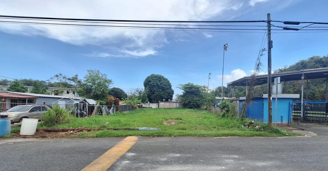 Bo C Davila 161, Manati - 7
