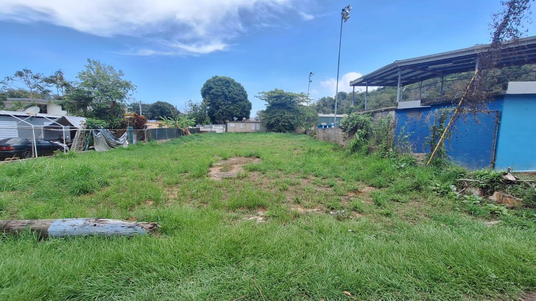 Bo C Davila 161, Manati - 4