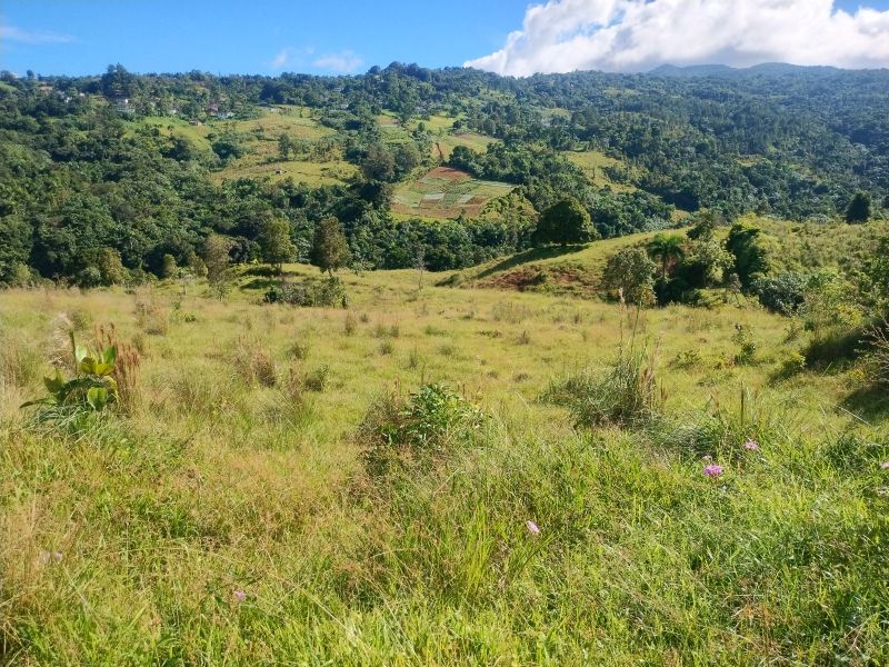 Carr 956 Km 10.0 Cam Adolfo Reyes Final Bo Guzman Rio Grande 00745 PR