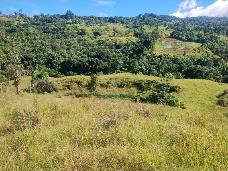 Carr 956 Km 10.0 Cam Adolfo Reyes Final Bo Guzman Rio Grande 00745 PR