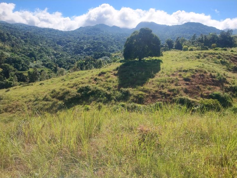 Carr 956 Km 10.0 Cam Adolfo Reyes Final Bo Guzman Rio Grande 00745 PR