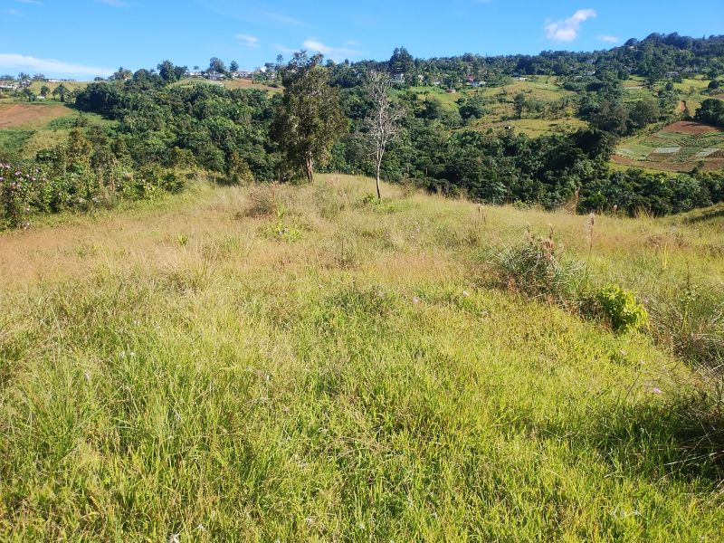 Carr 956 Km 10.0 Cam Adolfo Reyes Final Bo Guzman Rio Grande 00745 PR