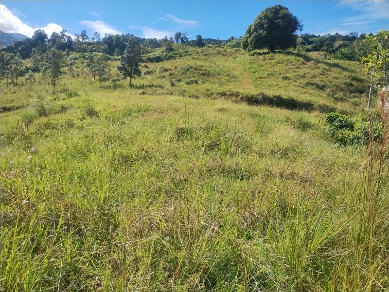 Carr 956 Km 10.0 Cam Adolfo Reyes Final Bo Guzman Rio Grande 00745 PR