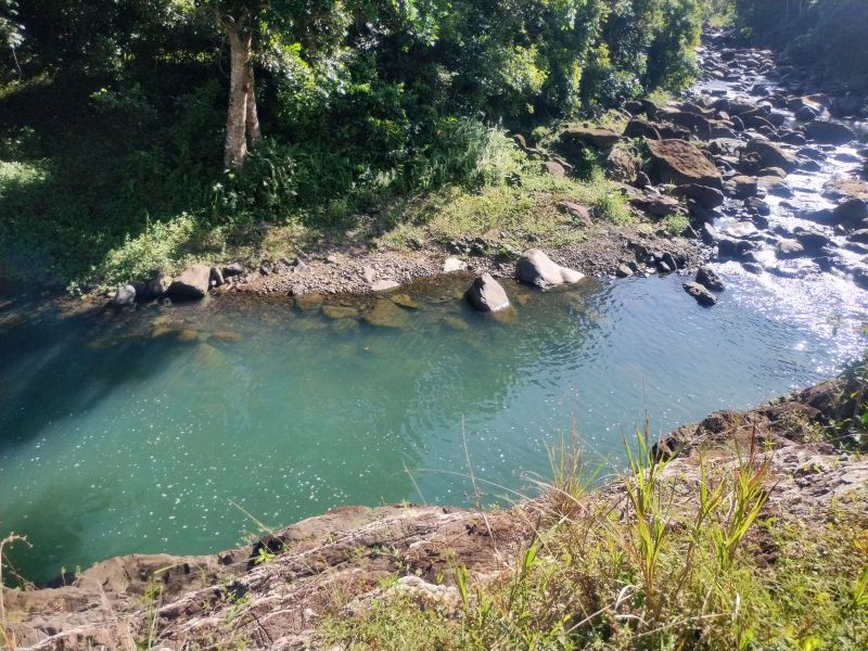 Carr 956 Km 10.0 Cam Adolfo Reyes Final Bo Guzman Rio Grande 00745 PR