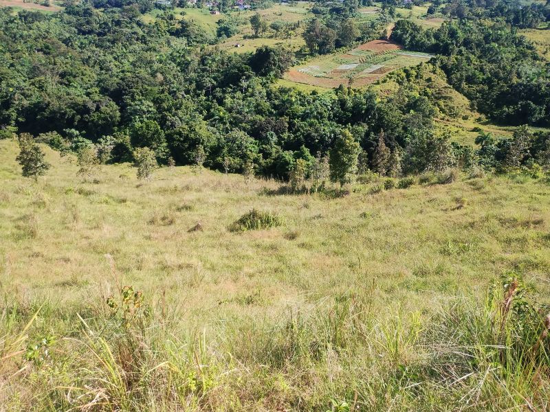 Carr 956 Km 10.0 Cam Adolfo Reyes Final Bo Guzman Rio Grande 00745 PR