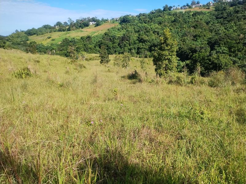 Carr 956 Km 10.0 Cam Adolfo Reyes Final Bo Guzman Rio Grande 00745 PR