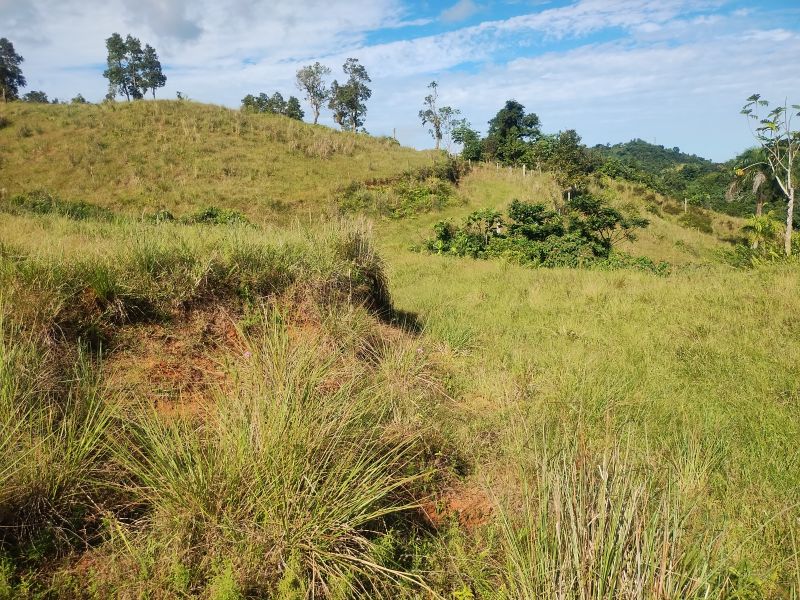 Carr 956 Km 10.0 Cam Adolfo Reyes Final Bo Guzman Rio Grande 00745 PR