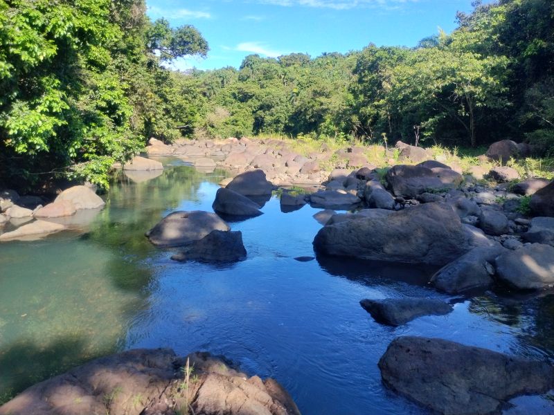 Carr 956 Km 10.0 Cam Adolfo Reyes Final Bo Guzman Rio Grande 00745 PR