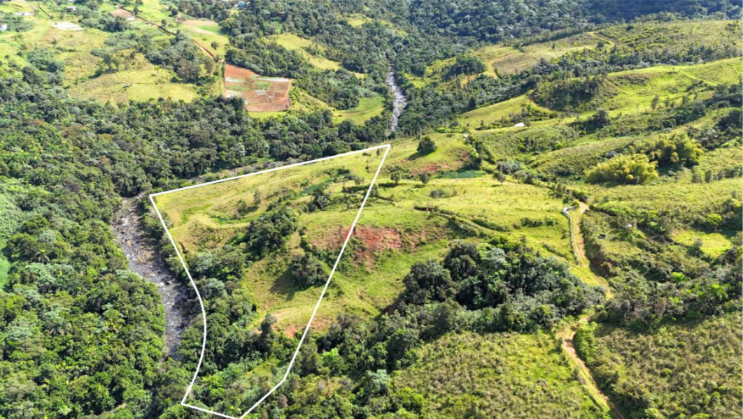 Carr 956 Km 10.0 Cam Adolfo Reyes Final Bo Guzman Rio Grande 00745 PR