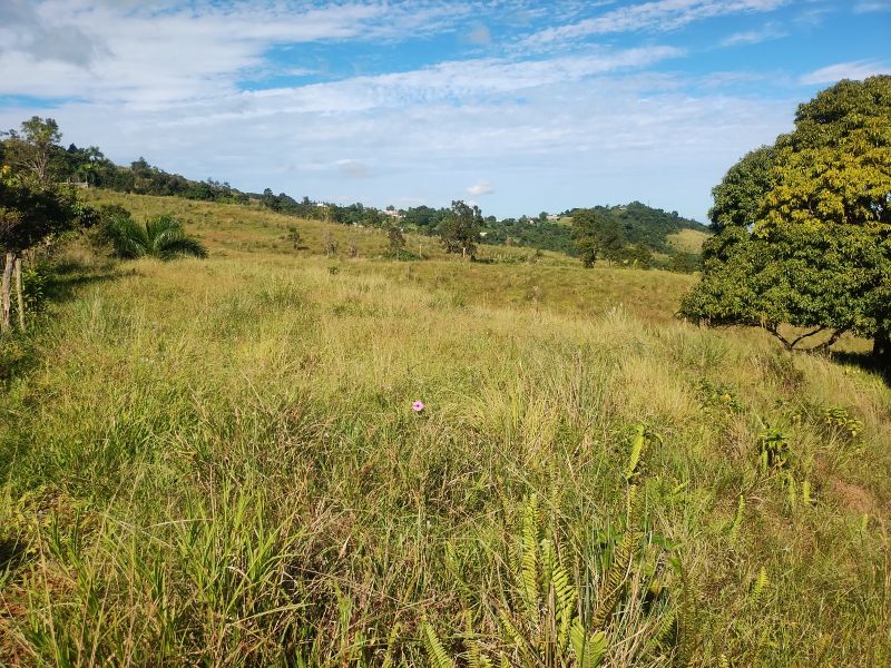 Carr 956 Km 10.0 Cam Adolfo Reyes Final Bo Guzman Rio Grande 00745 PR