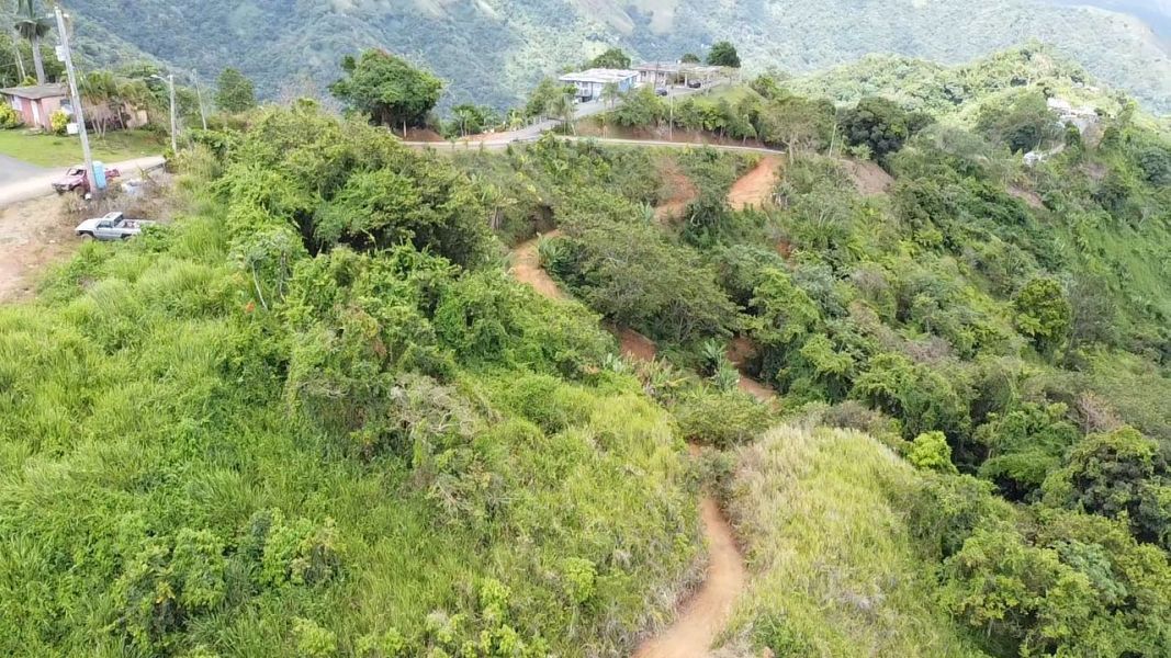 Bo Rubias Carr 3365 Km 2.4, Yauco - 3