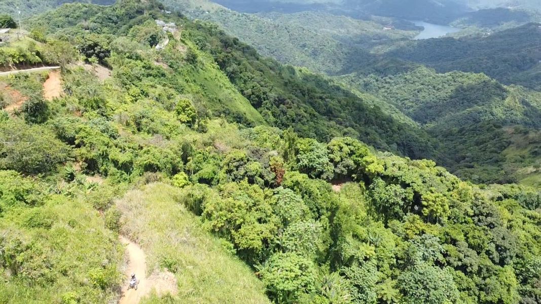 Bo Rubias Carr 3365 Km 2.4, Yauco - 4