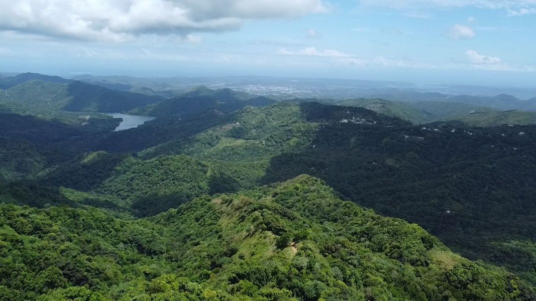 Bo Rubias Carr 3365 Km 2.4, Yauco - 2