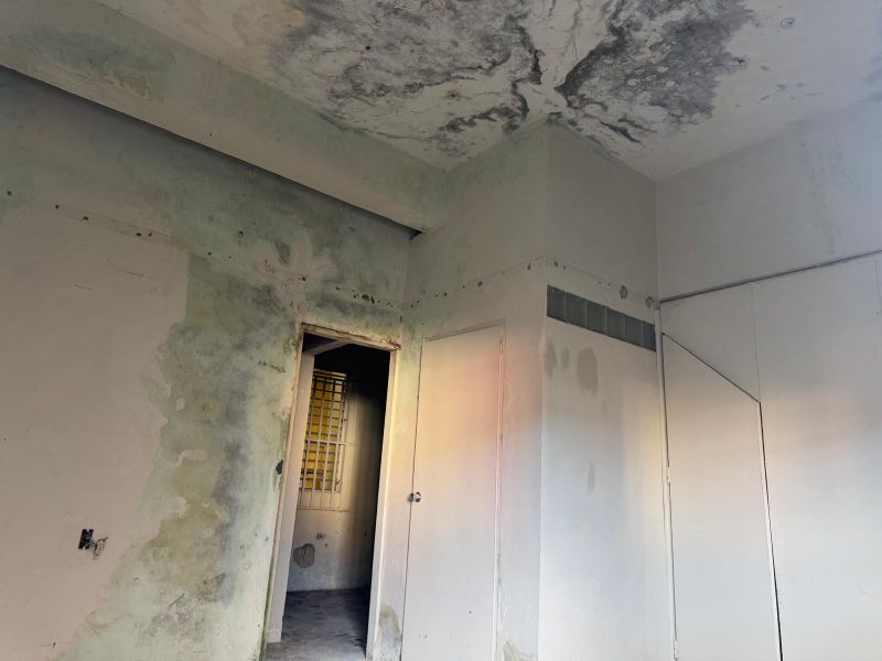 C Luis Munoz Rivera #62 Esq C Varona Suarez San Lorenzo 00754 PR