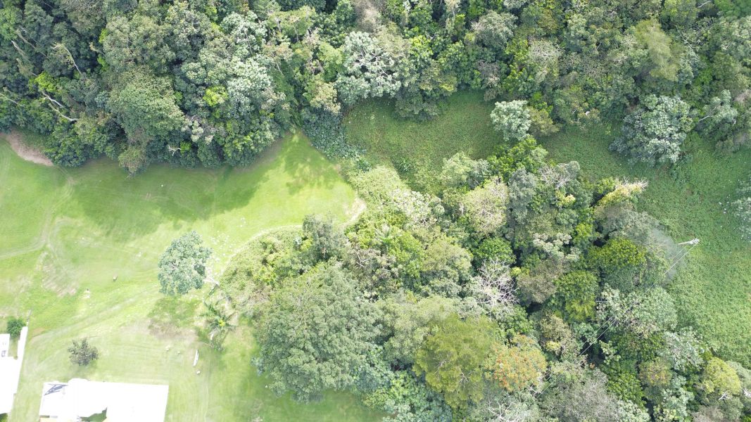 C37 Calle 1 Urb Valle Escondido Guaynabo 00971 PR