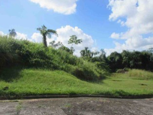 Pr 3349 Km 0.6 Int Maleza Wd Mayaguez 00680 PR