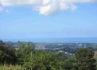 Pr 3349 Km 0.6 Int Maleza Wd Mayaguez 00680 PR