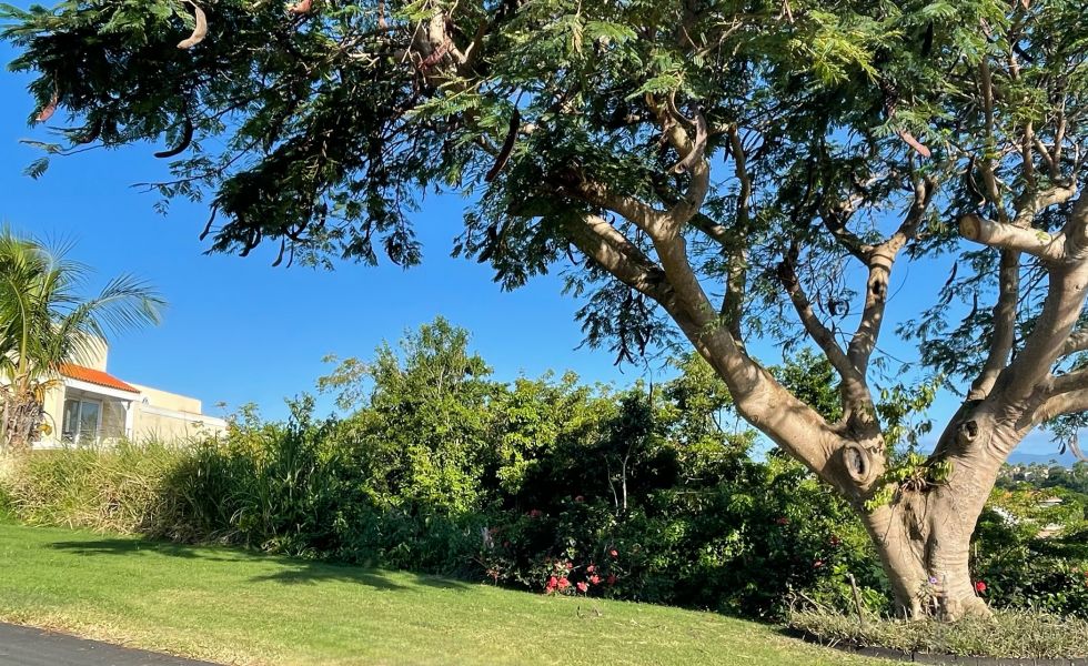 21 Port Road Humacao 00791 PR