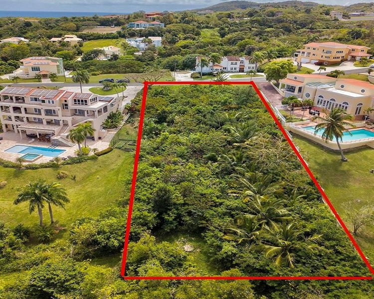 21 Port Road Humacao 00791 PR