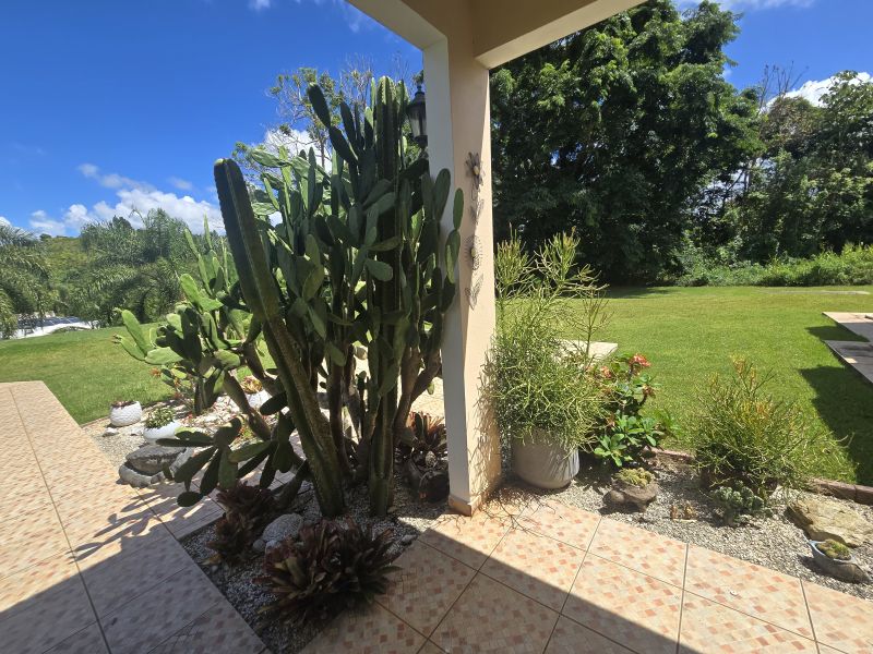 Hacienda Buena Aguas Buenas 00703 PR