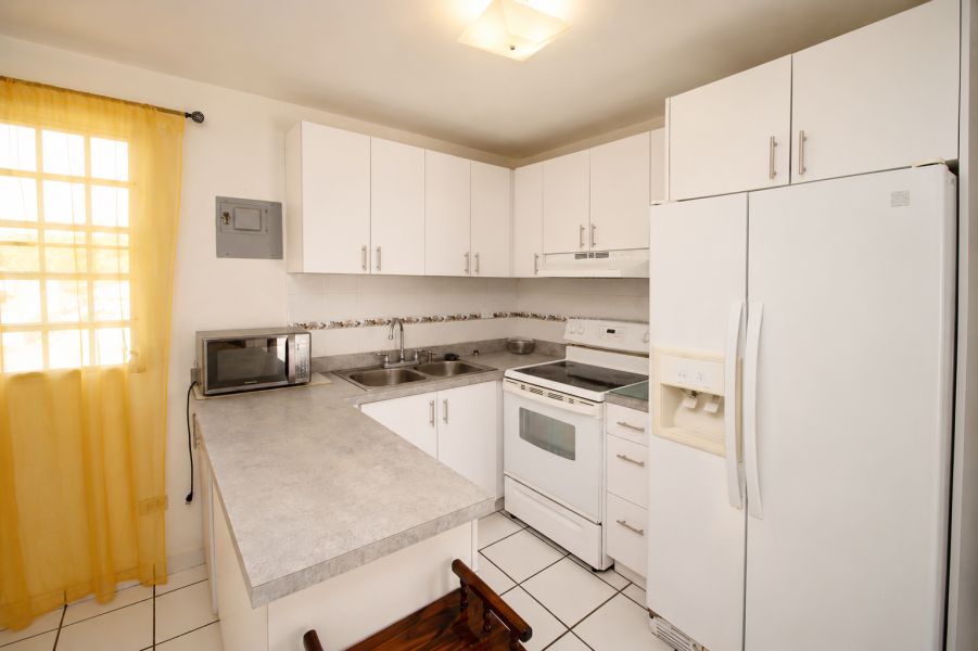 Gladiola 447 Altos Urb Round Hill, Trujillo Alto - 4