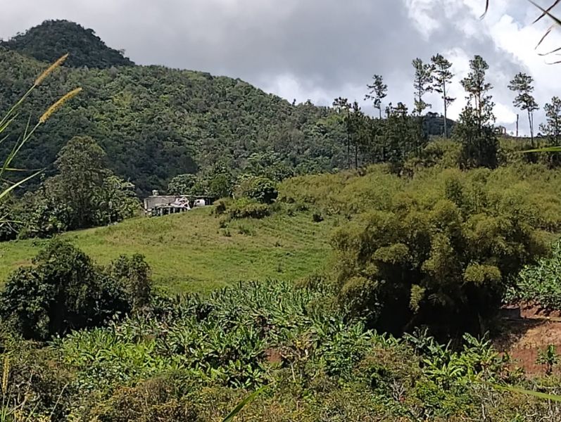 Pr-152r Km 0.2 Bo Helechal Barranquitas 00794 PR