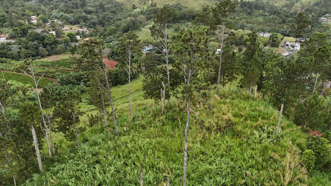 Pr-152r Km 0.2 Bo Helechal Barranquitas 00794 PR