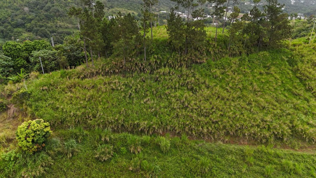 Pr-152r Km 0.2 Bo Helechal Barranquitas 00794 PR