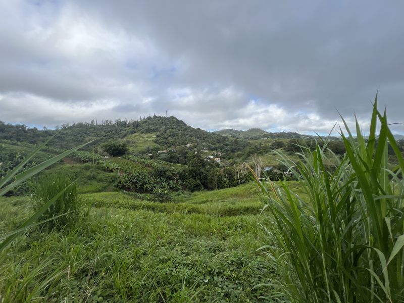 Pr-152r Km 0.2 Bo Helechal Barranquitas 00794 PR