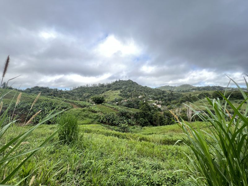 Pr-152r Km 0.2 Bo Helechal Barranquitas 00794 PR