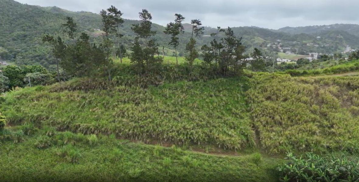 Pr-152r Km 0.2 Bo Helechal Barranquitas 00794 PR