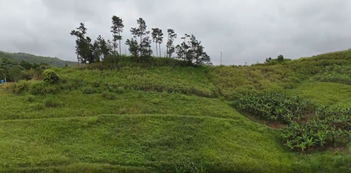 Pr-152r Km 0.2 Bo Helechal Barranquitas 00794 PR