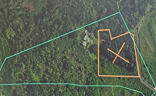 Pr-152r Km 0.2 Bo Helechal Barranquitas 00794 PR