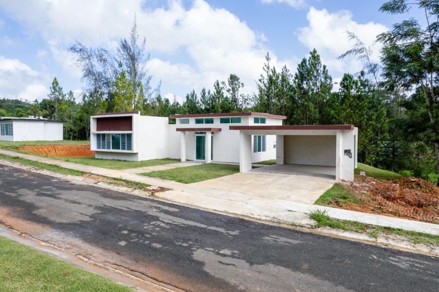 Urb Reales De Beatriz C 24 Cidra 00739 PR