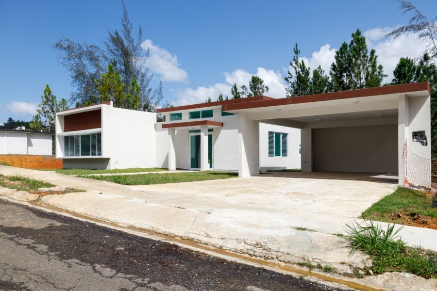 Urb Reales De Beatriz C 24 Cidra 00739 PR