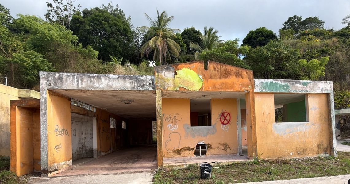 Urb Virginia Valley Calle Alto 7a, Juncos - 1